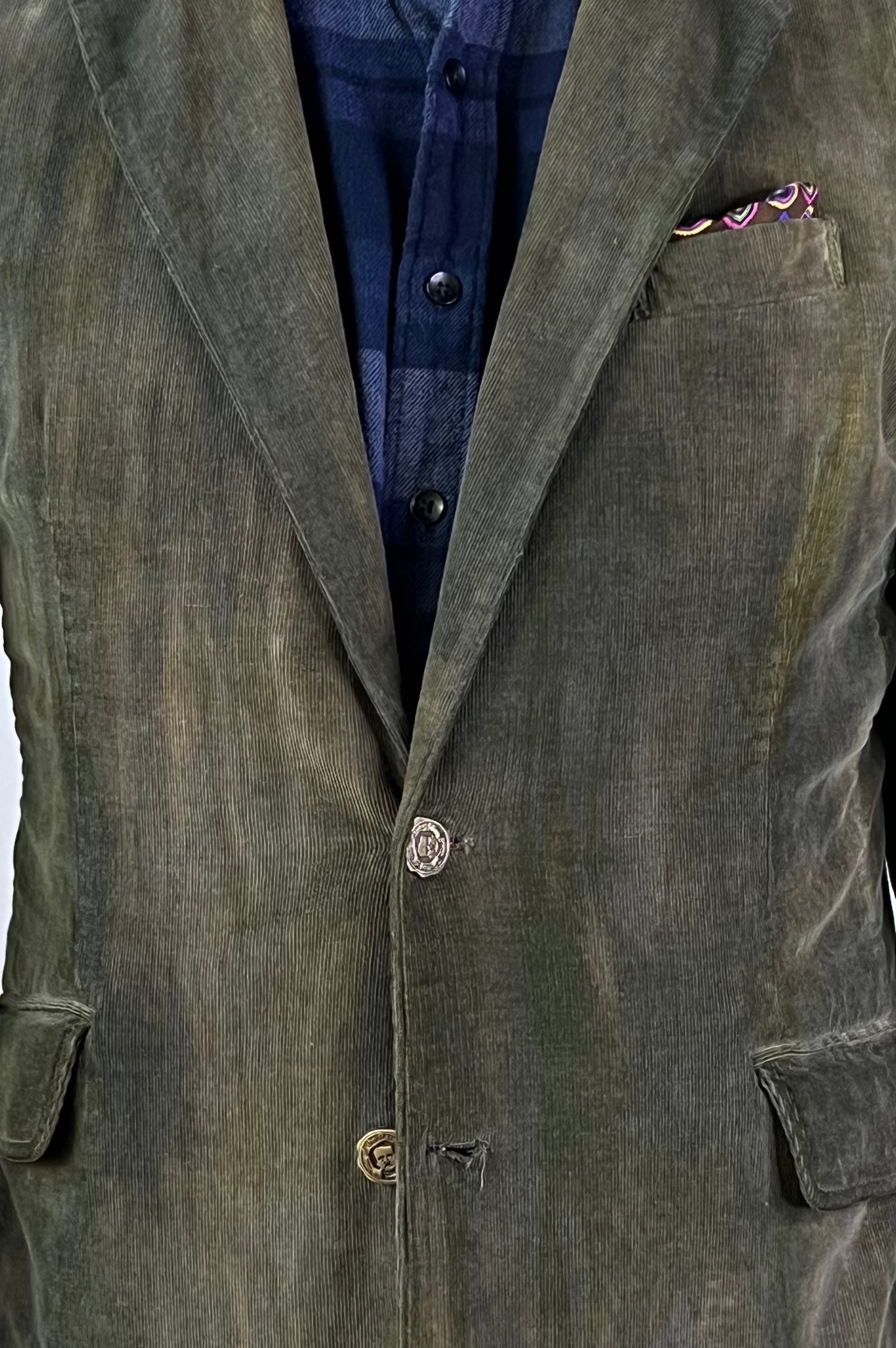 Alesandro Olive Corduroy